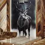 Kryjowka Pod Reglami Premium Z Widokiem Na Giewont Zakopane
