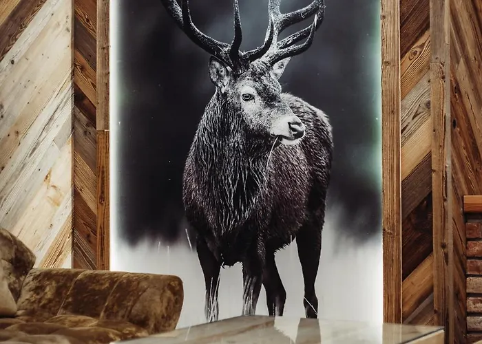 Kryjowka Pod Reglami Premium Z Widokiem Na Giewont Zakopane